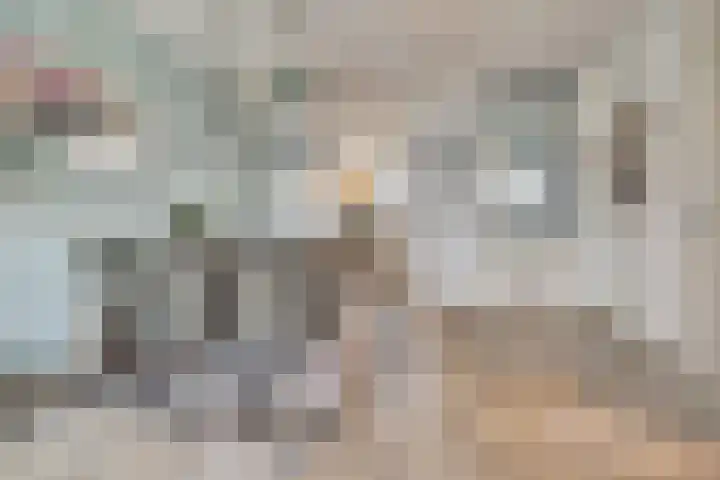 Burgemeester van Houtplein 6 Vlijmen thumbnail 7