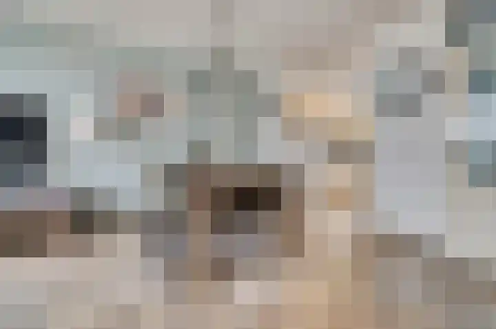 Burgemeester van Houtplein 6 Vlijmen thumbnail 8