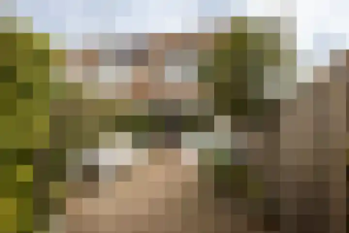 Burgemeester van Hövell tot Westerflierpad 11 Halfweg thumbnail 15