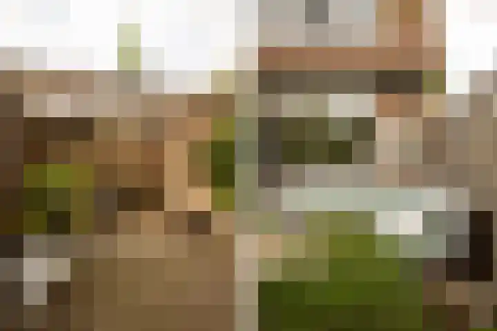 Burgemeester van Hövell tot Westerflierpad 11 Halfweg thumbnail 19