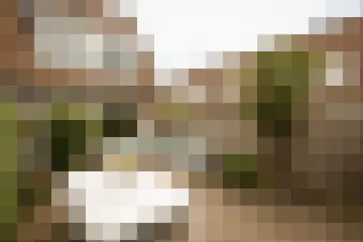 Burgemeester van Hövell tot Westerflierpad 11 Halfweg thumbnail 22