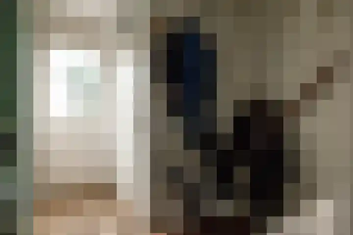 Burgemeester van Hövell tot Westerflierpad 11 Halfweg thumbnail 23