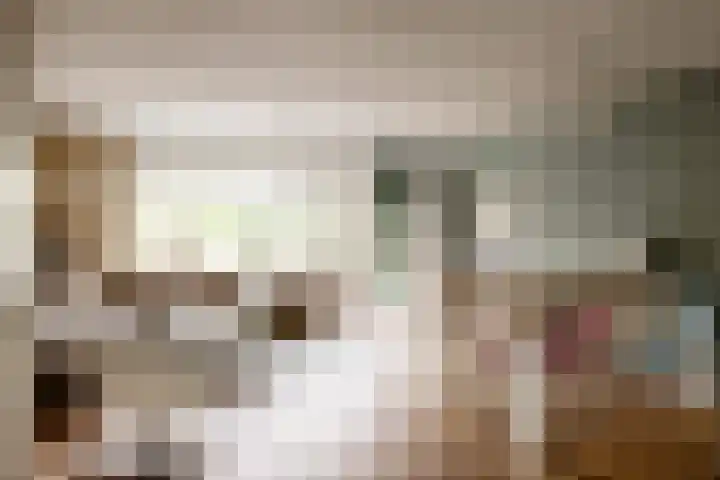 Burgemeester van Hövell tot Westerflierpad 11 Halfweg thumbnail 5