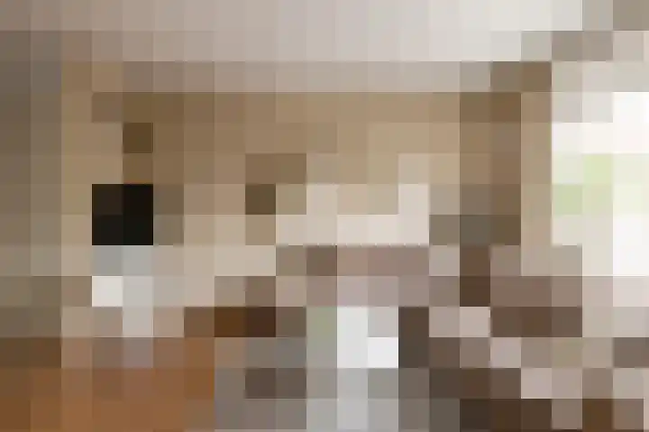 Burgemeester van Hövell tot Westerflierpad 11 Halfweg thumbnail 8