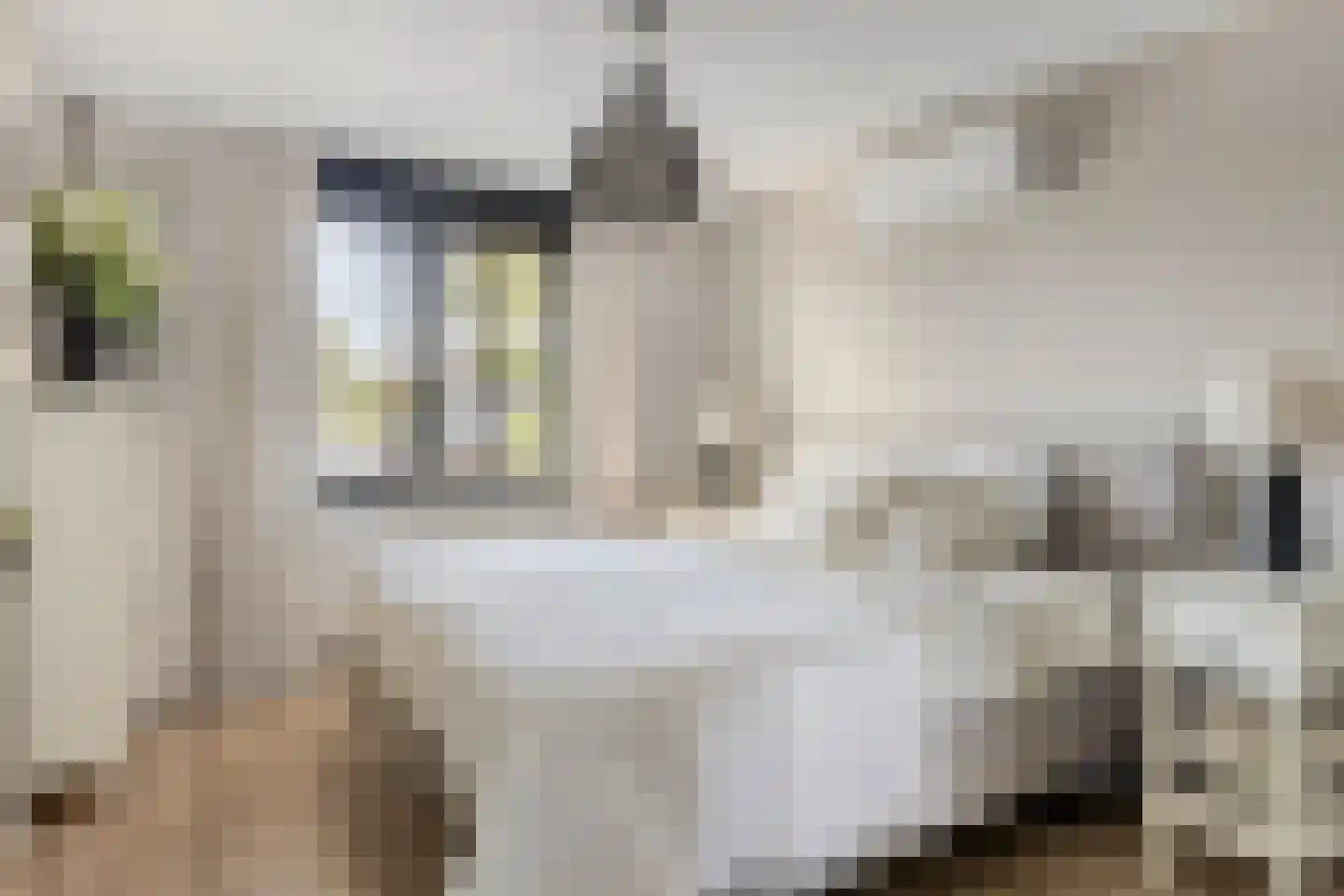 Burgemeester van Hulstlaan 10 Heesch thumbnail 14