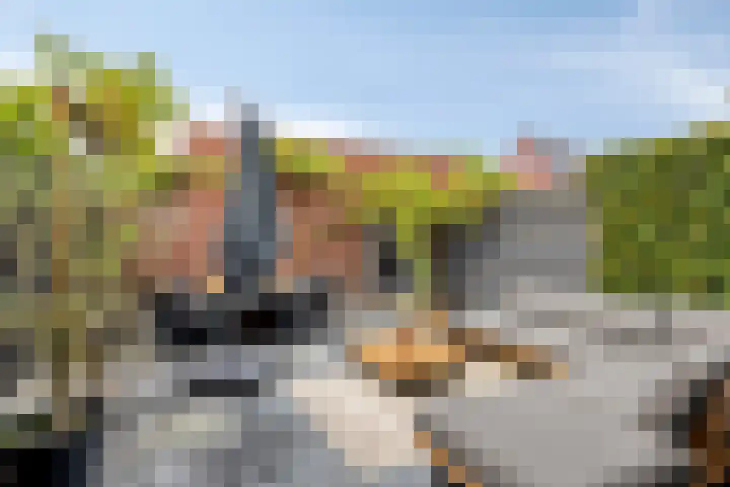 Burgemeester van Hulstlaan 10 Heesch thumbnail 23
