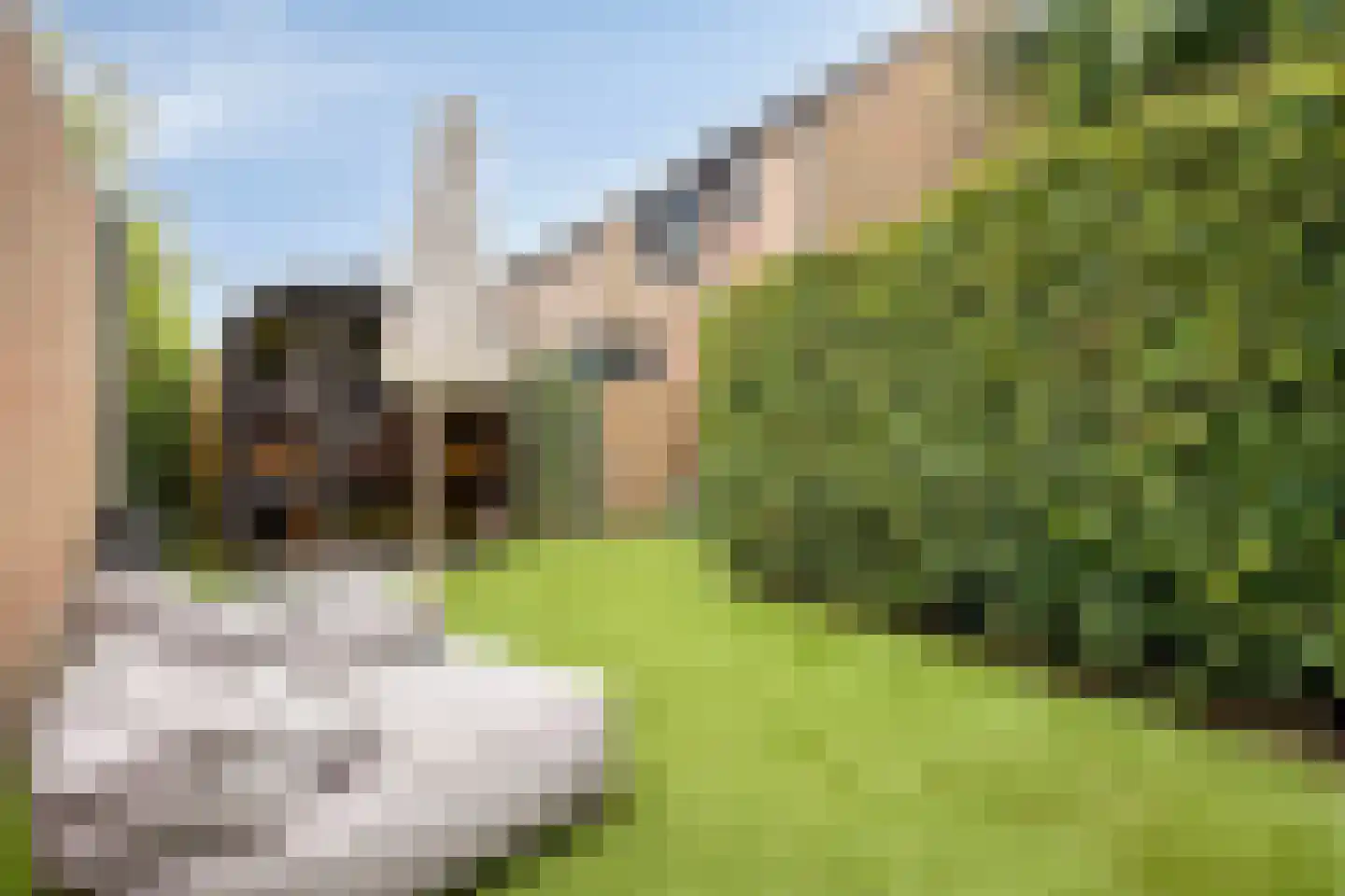 Burgemeester van Hulstlaan 10 Heesch thumbnail 26