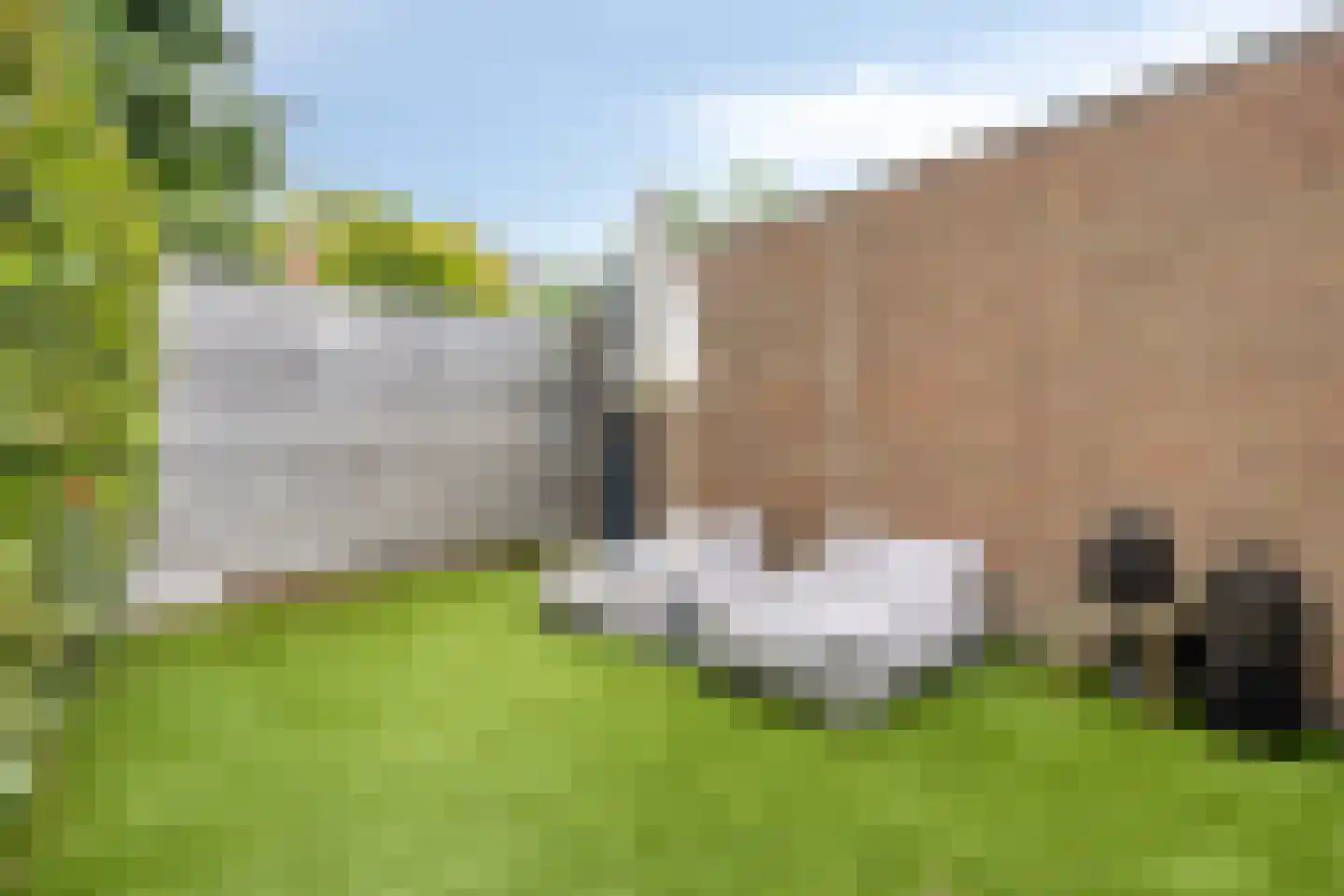 Burgemeester van Hulstlaan 10 Heesch thumbnail 27