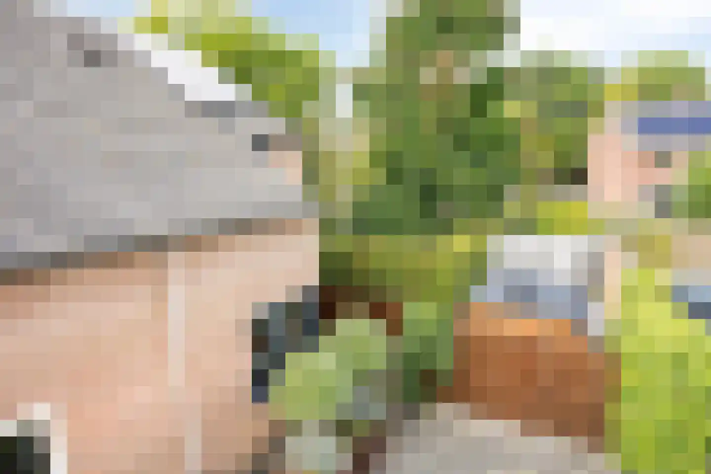 Burgemeester van Hulstlaan 10 Heesch thumbnail 31