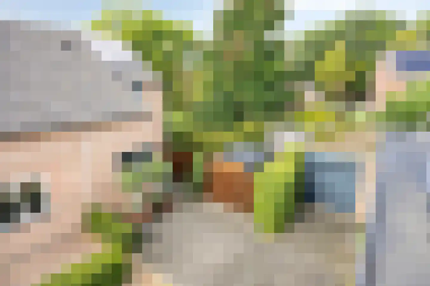 Burgemeester van Hulstlaan 10 Heesch thumbnail 32