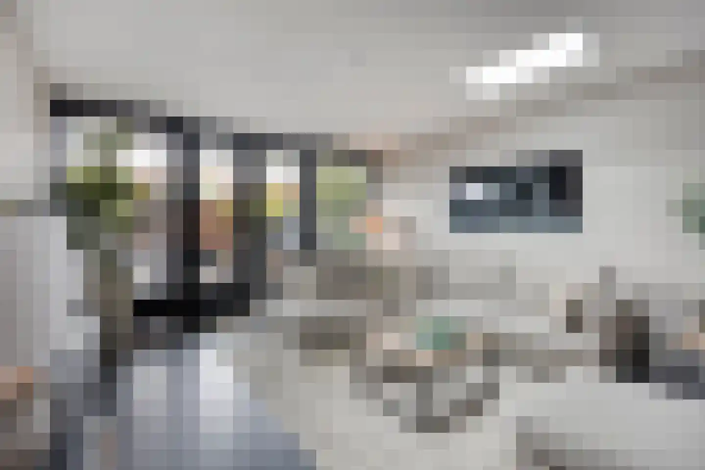 Burgemeester van Hulstlaan 10 Heesch thumbnail 4