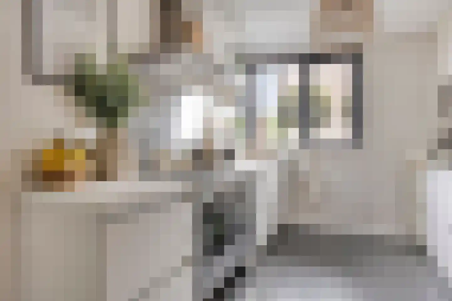 Burgemeester van Hulstlaan 10 Heesch thumbnail 5