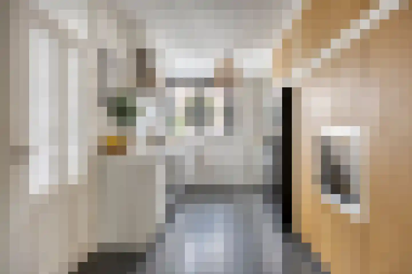 Burgemeester van Hulstlaan 10 Heesch thumbnail 6