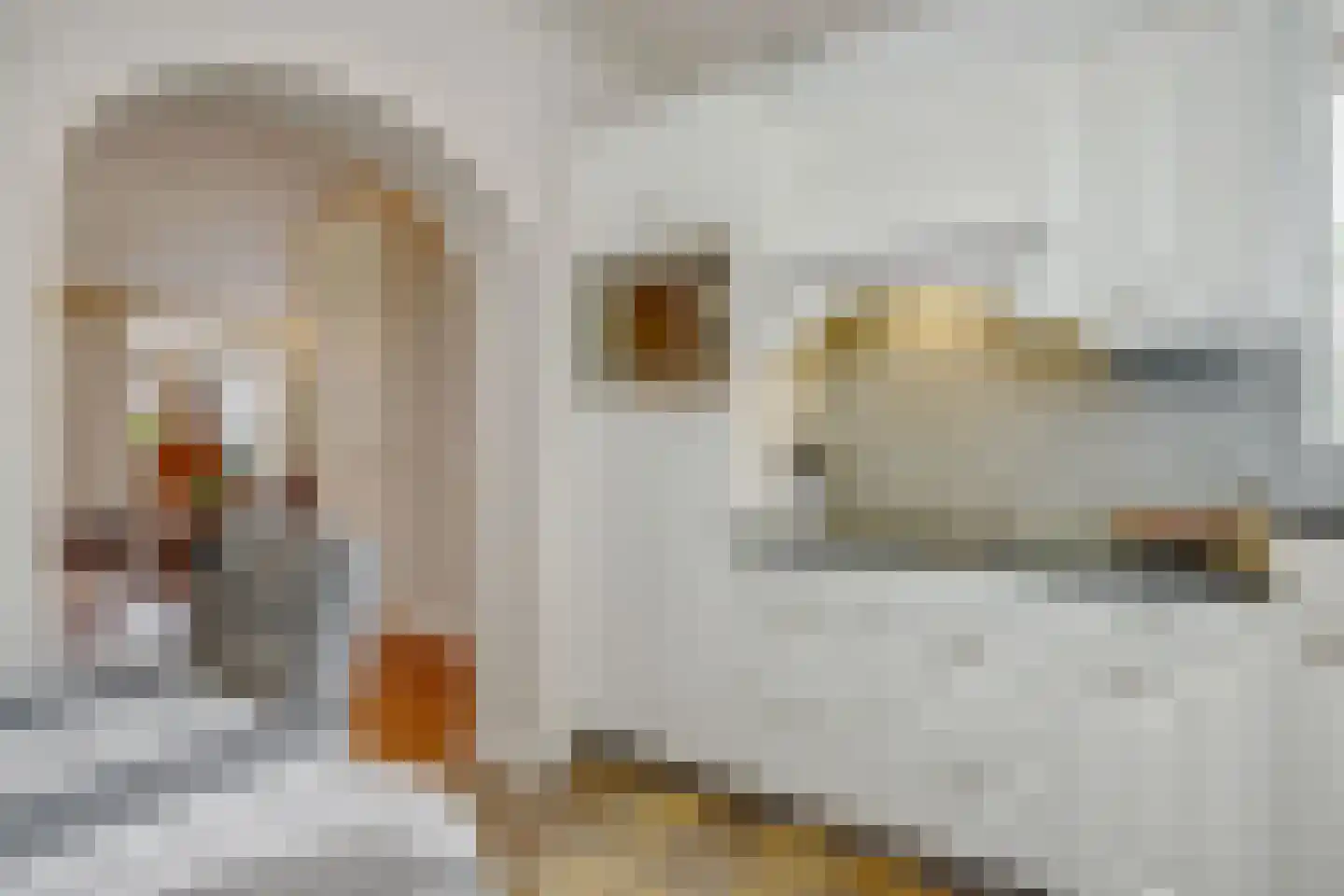 Burgemeester van Hulstlaan 12 Heesch thumbnail 13