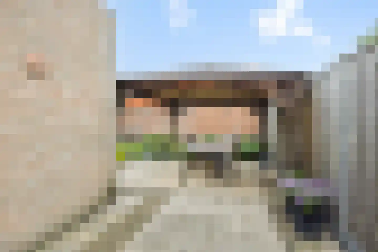 Burgemeester van Hulstlaan 12 Heesch thumbnail 36