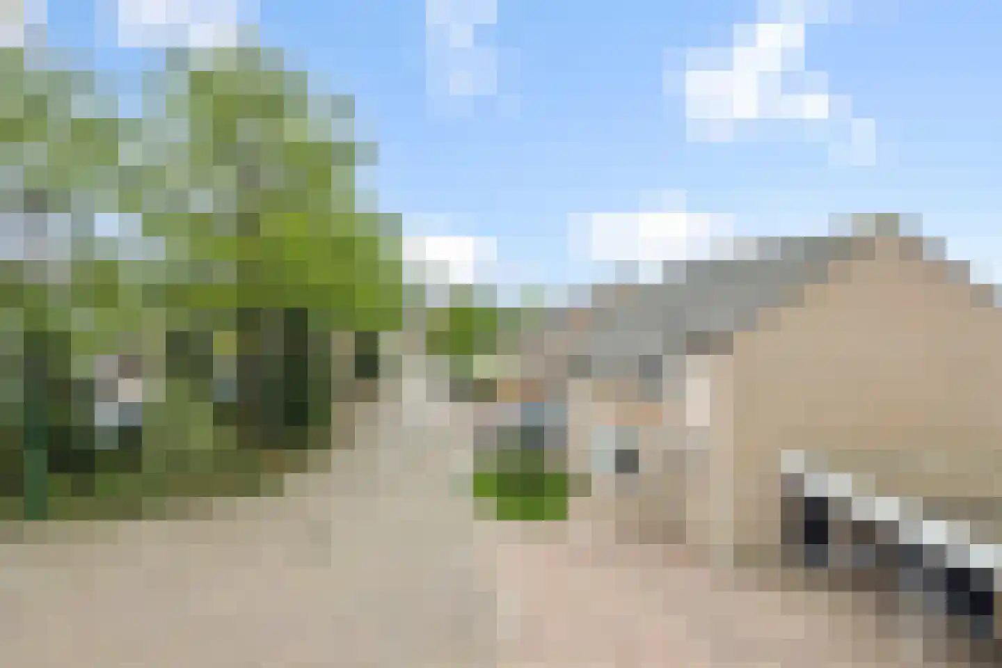 Burgemeester van Hulstlaan 12 Heesch thumbnail 42