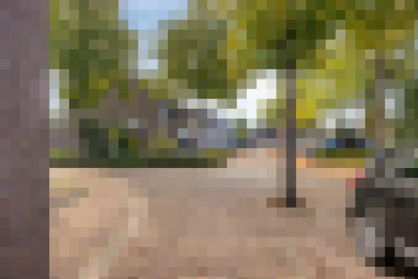 Burgemeester van Hulstlaan 6 a Heesch thumbnail 11
