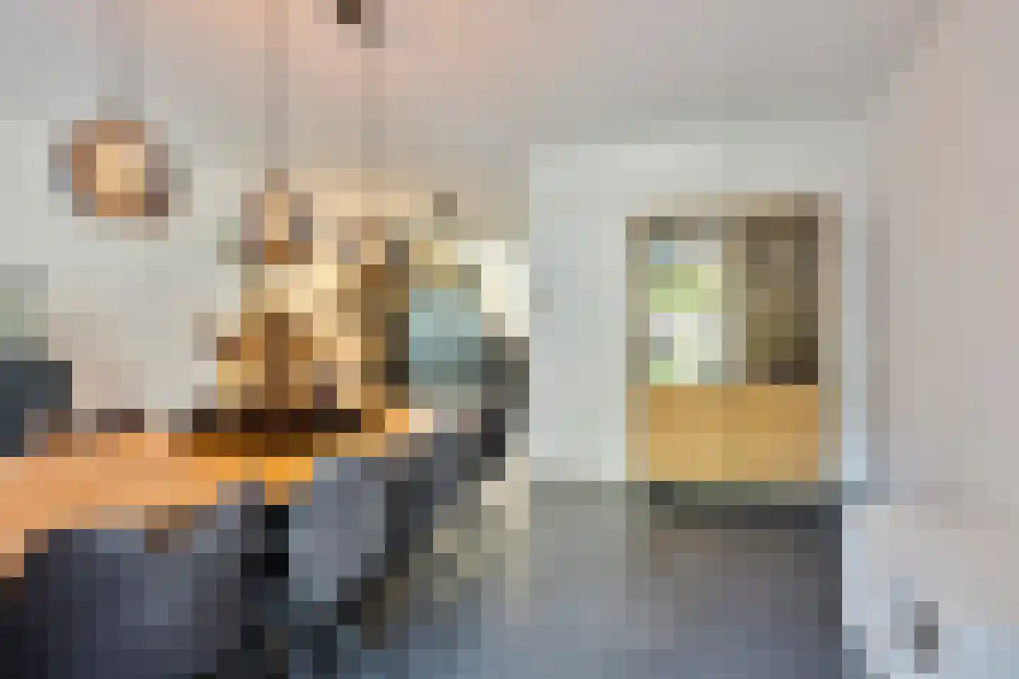 Burgemeester van Hulstlaan 6 a Heesch thumbnail 20