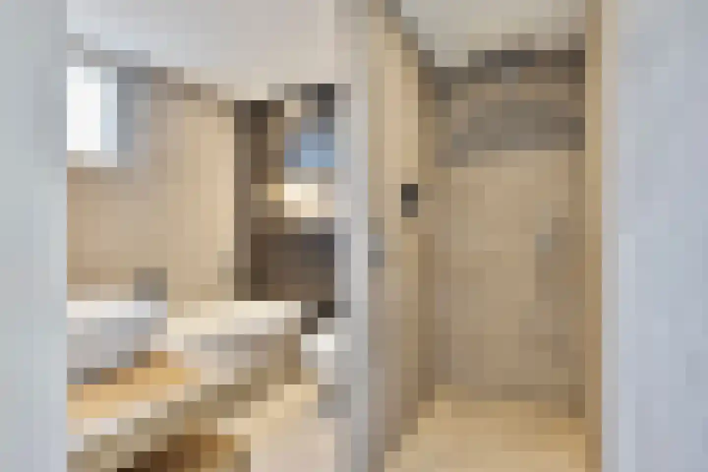 Burgemeester van Hulstlaan 6 a Heesch thumbnail 34