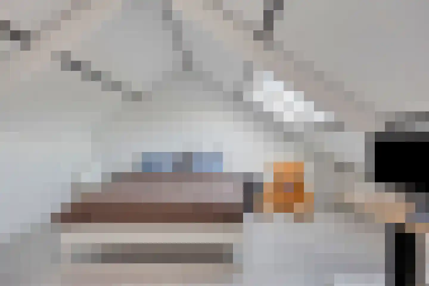 Burgemeester van Hulstlaan 6 a Heesch thumbnail 42
