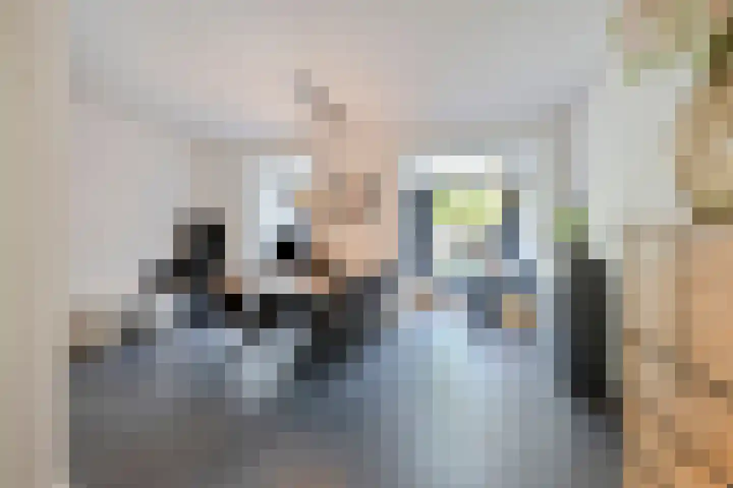 Burgemeester van Hulstlaan 6 a Heesch thumbnail 5