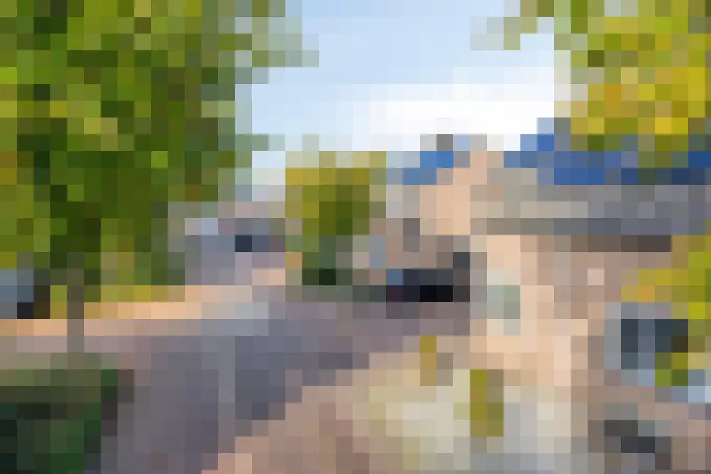Burgemeester van Hulstlaan 6 a Heesch thumbnail 51