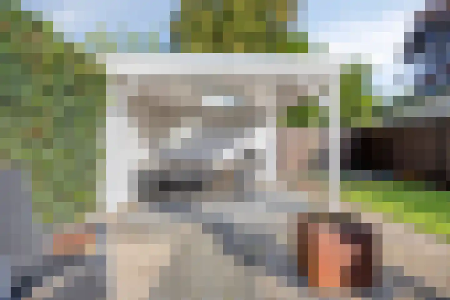 Burgemeester van Hulstlaan 6 a Heesch thumbnail 9