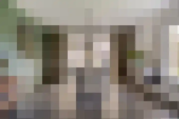 Burgemeester van Kuikstraat 2 Mierlo thumbnail 17