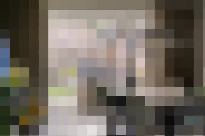 Burgemeester van Kuikstraat 2 Mierlo thumbnail 19