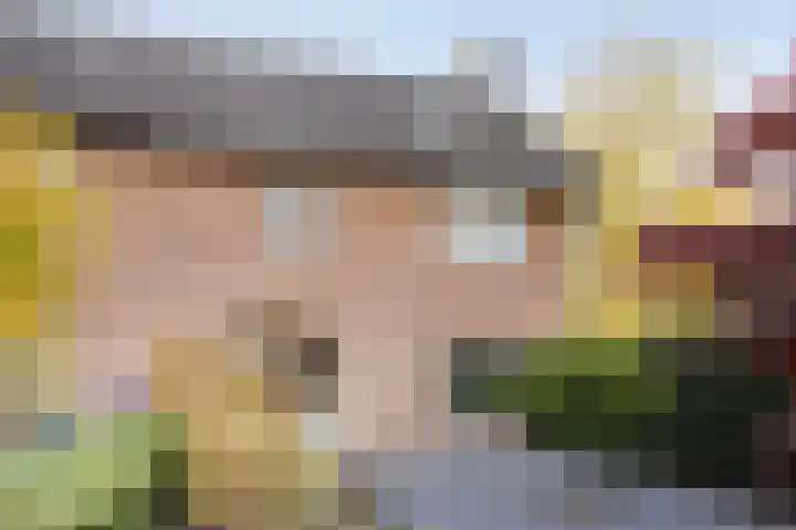 Burgemeester van Kuikstraat 2 Mierlo thumbnail 9