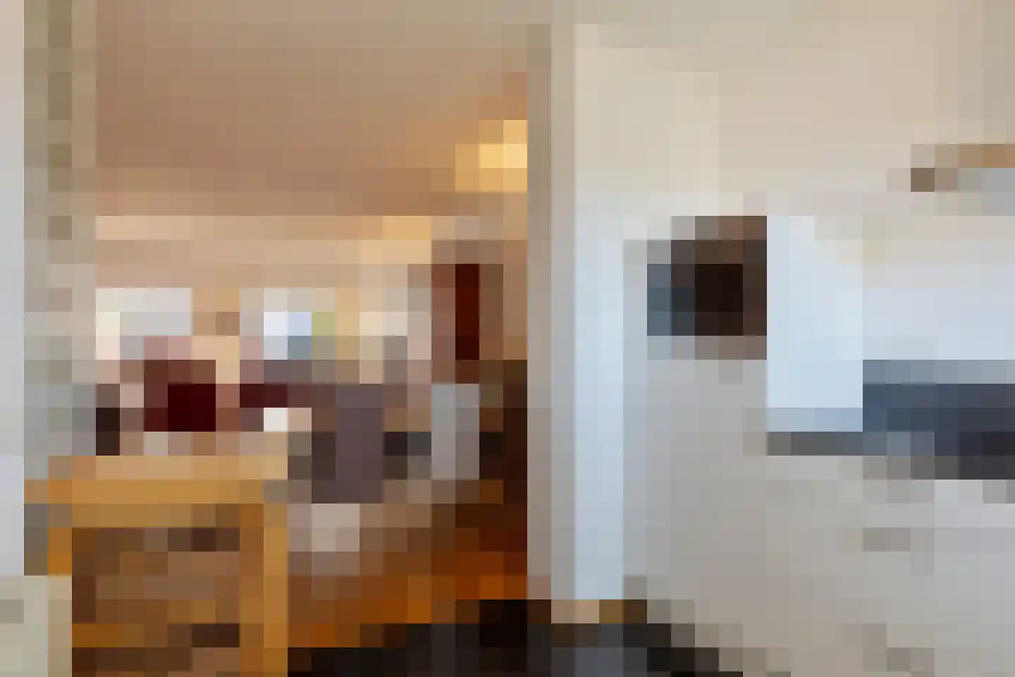 Burgemeester van Kuikstraat 3 Mierlo thumbnail 19