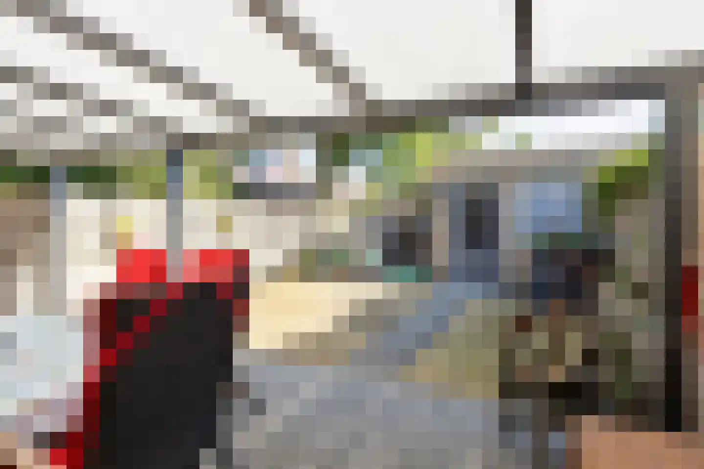 Burgemeester van Kuikstraat 3 Mierlo thumbnail 42
