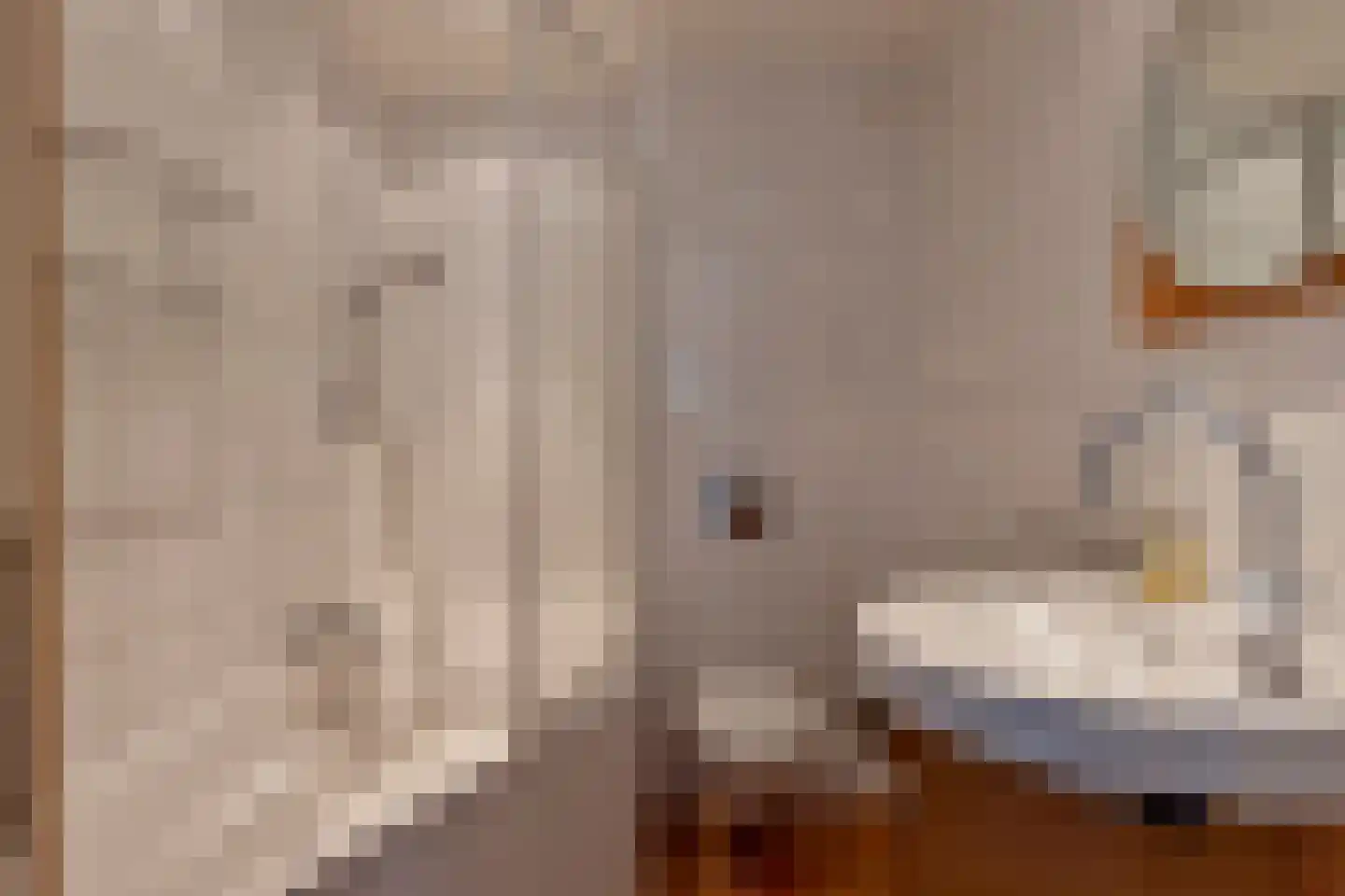 Burgemeester van Kuikstraat 3 Mierlo thumbnail 7