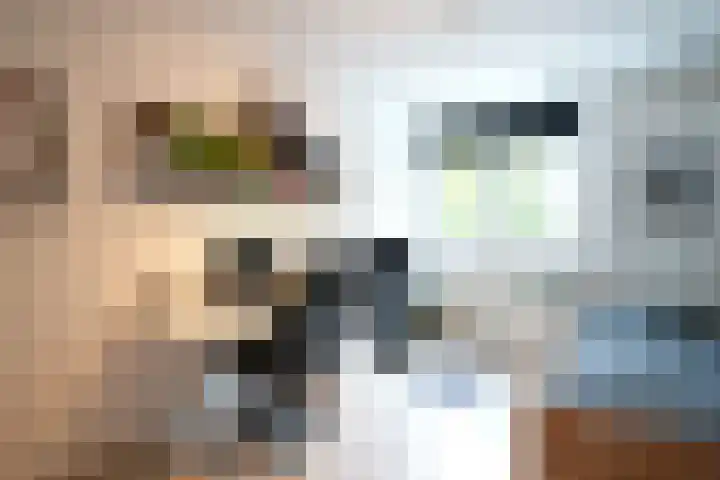 Burgemeester Van Laarstraat 13 Wijlre thumbnail 20