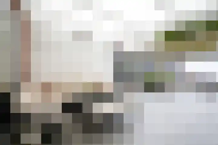 Burgemeester Van Laarstraat 13 Wijlre thumbnail 27