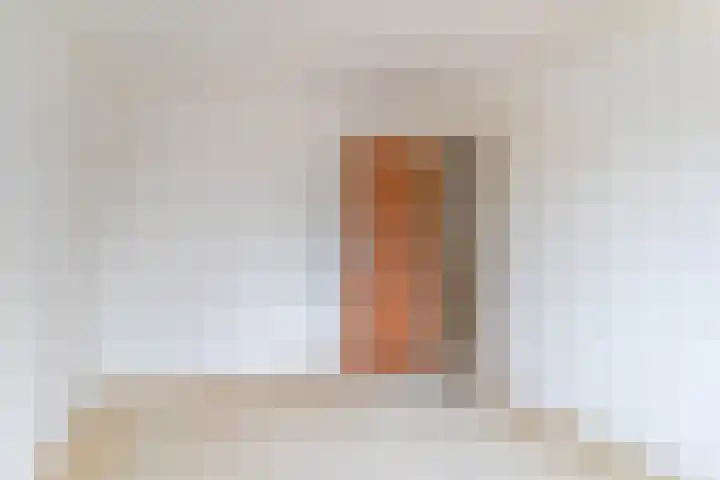 Burgemeester Van Leeuwenlaan 220 Amsterdam thumbnail 11