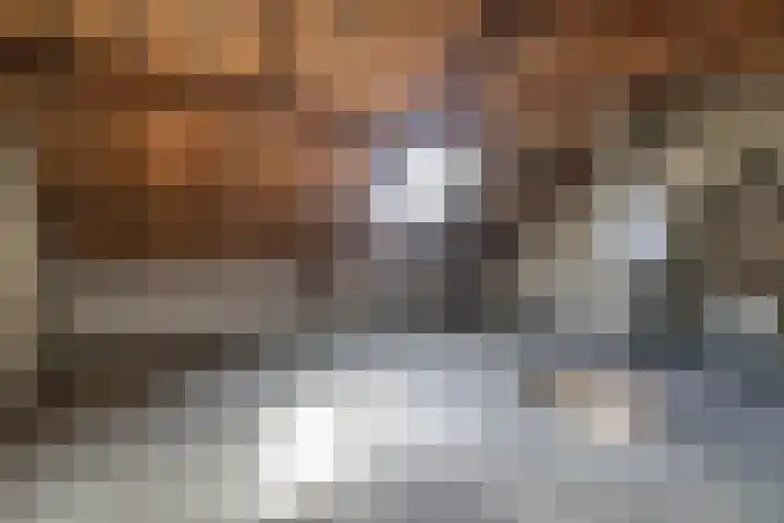 Burgemeester Van Leeuwenlaan 220 Amsterdam thumbnail 15