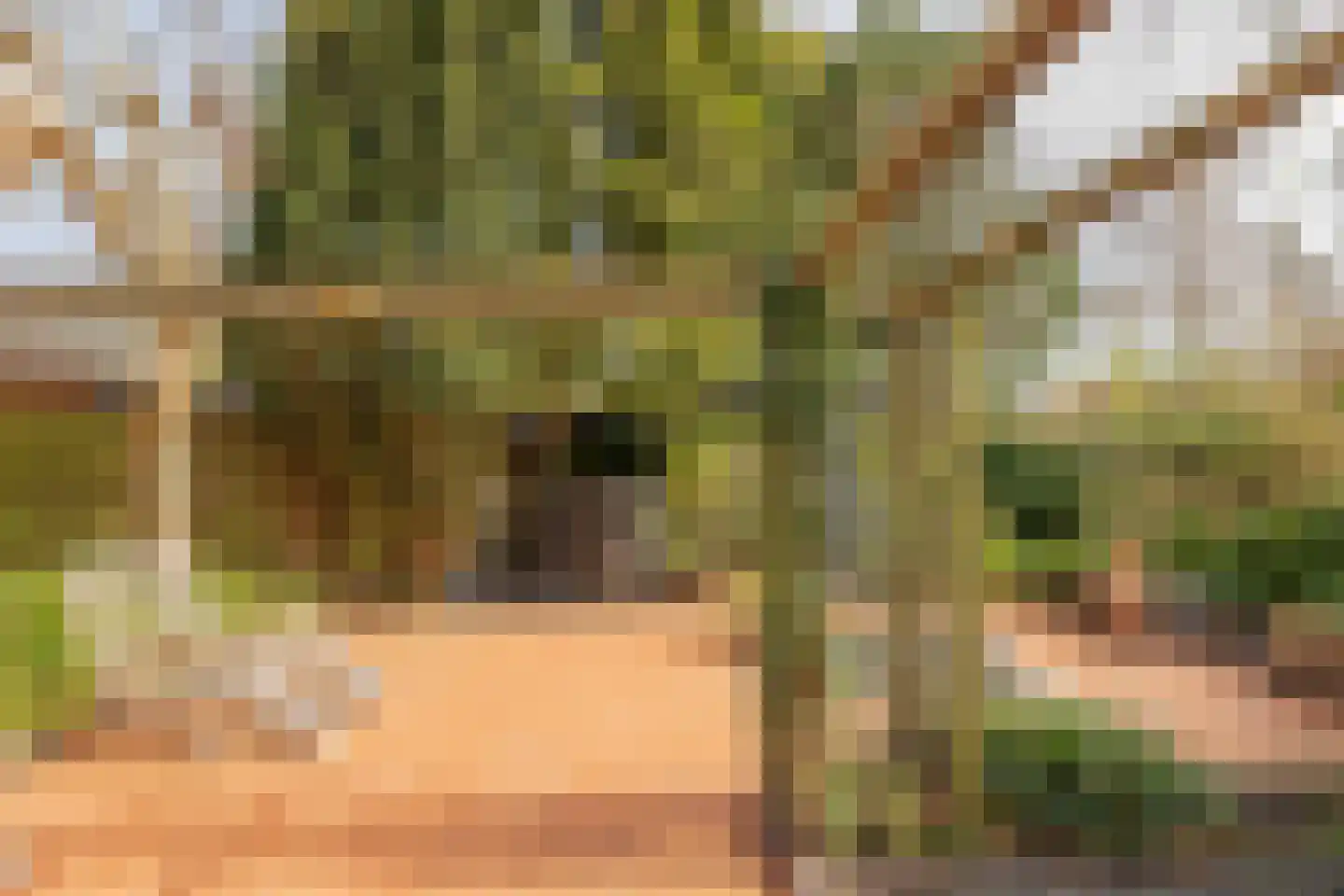 Burgemeester van Lennepweg 22 Heemstede thumbnail 27