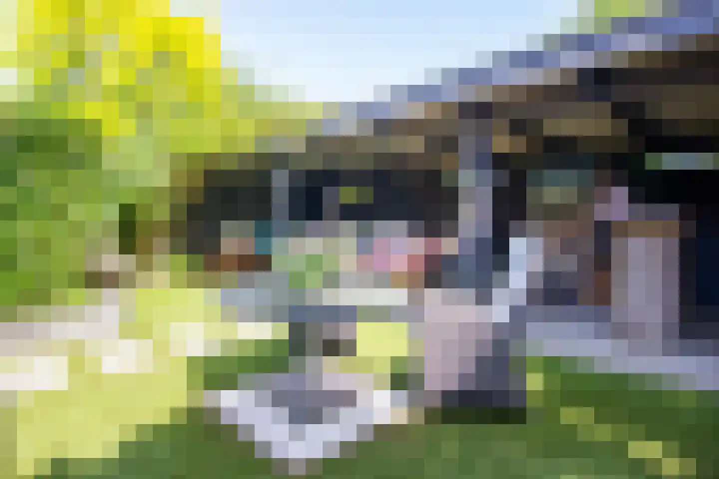 Burgemeester van Lennepweg 24 Heemstede thumbnail 21