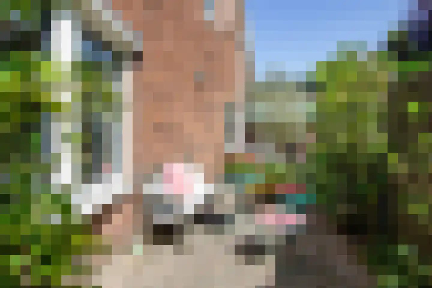 Burgemeester van Lennepweg 24 Heemstede thumbnail 25