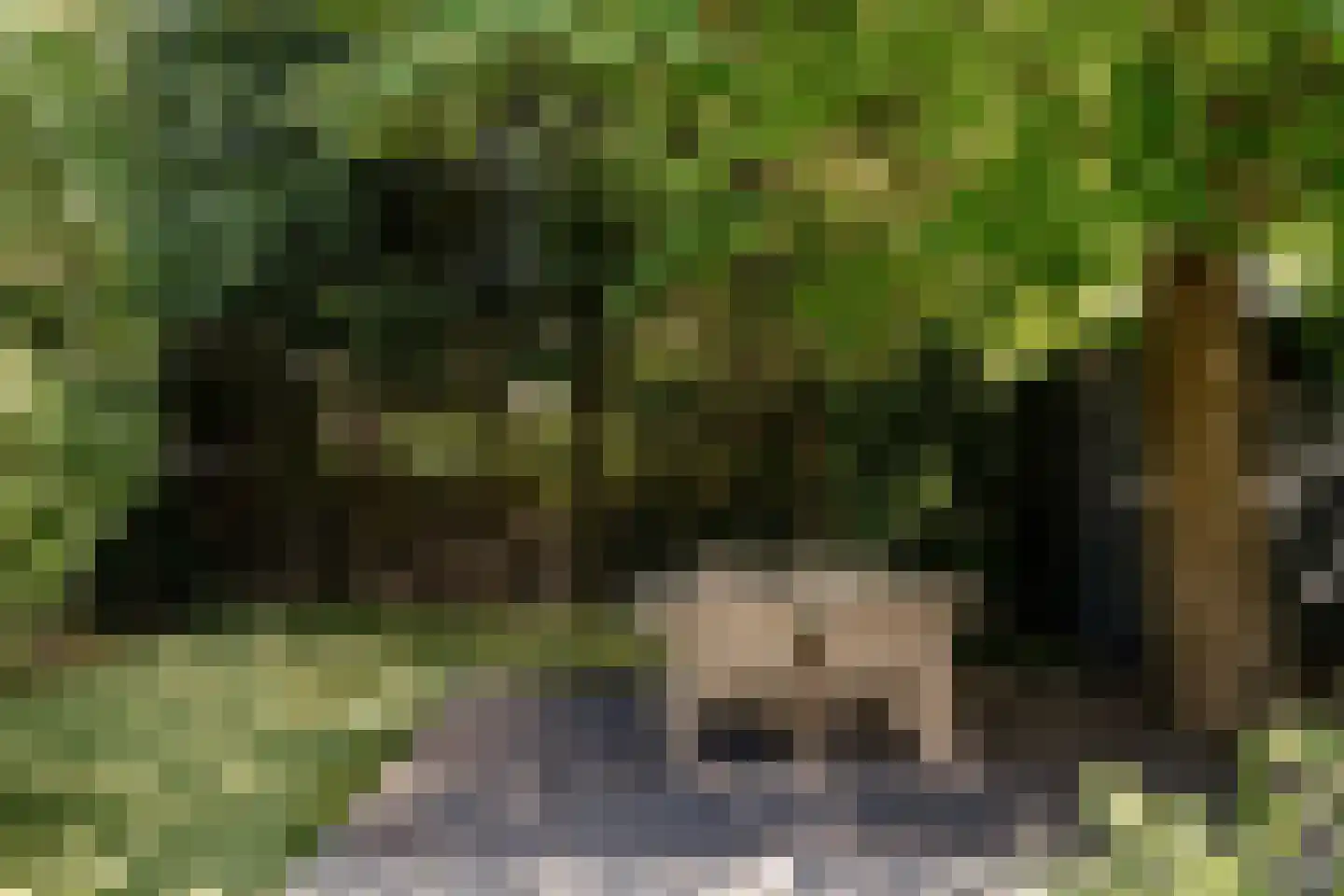 Burgemeester van Lennepweg 40 Heemstede thumbnail 34