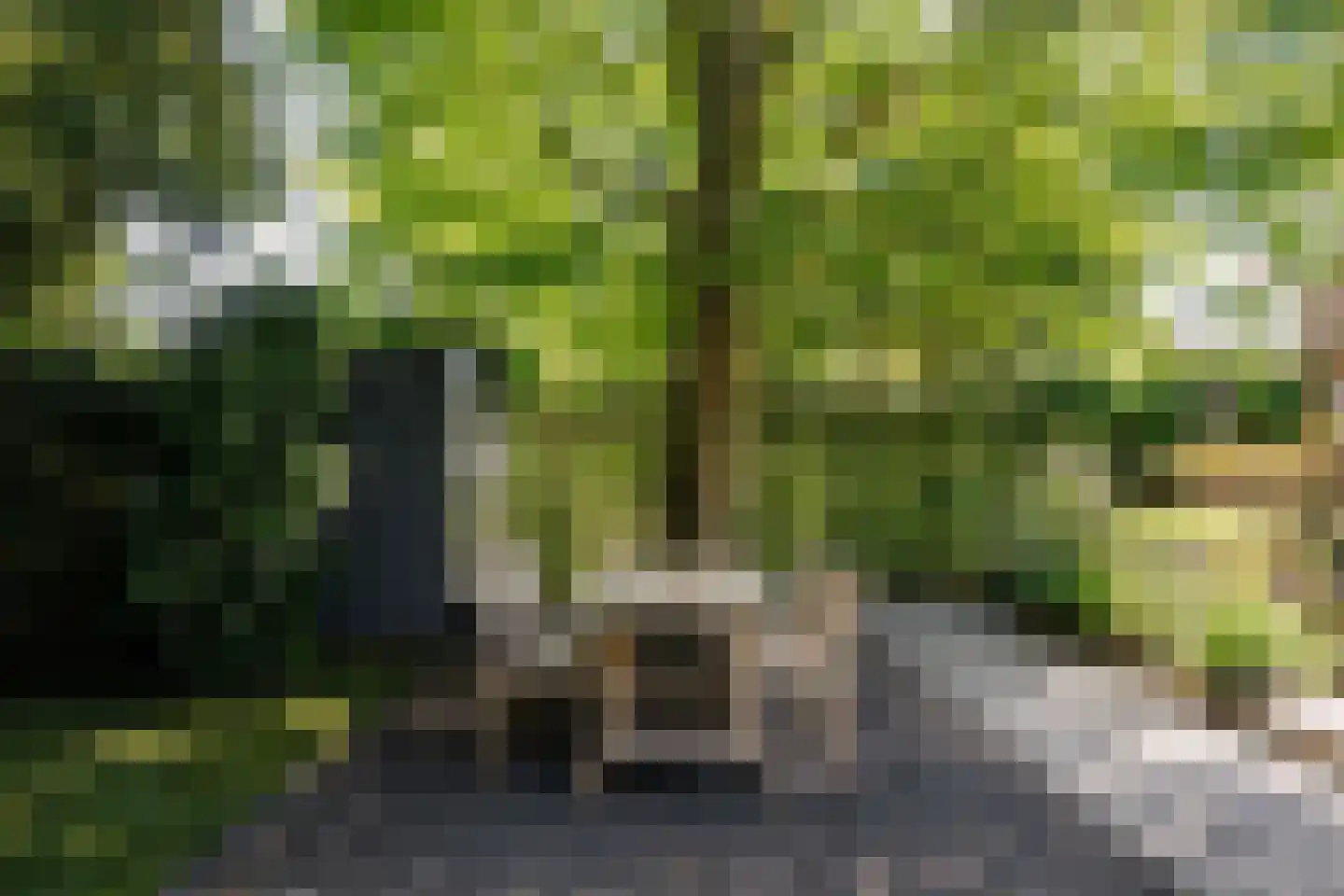 Burgemeester van Lennepweg 40 Heemstede thumbnail 35