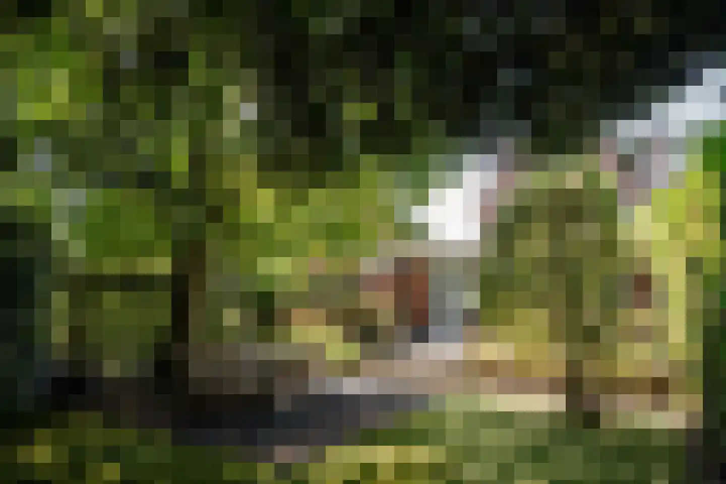 Burgemeester van Lennepweg 40 Heemstede thumbnail 4