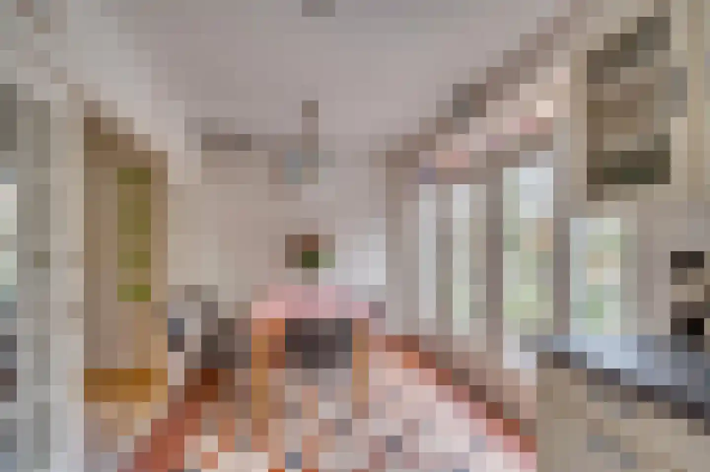 Burgemeester van Liebergenstraat 12 Venlo thumbnail 19
