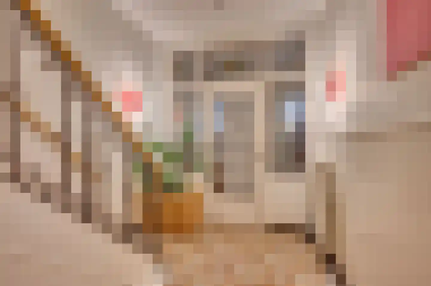 Burgemeester van Liebergenstraat 12 Venlo thumbnail 35