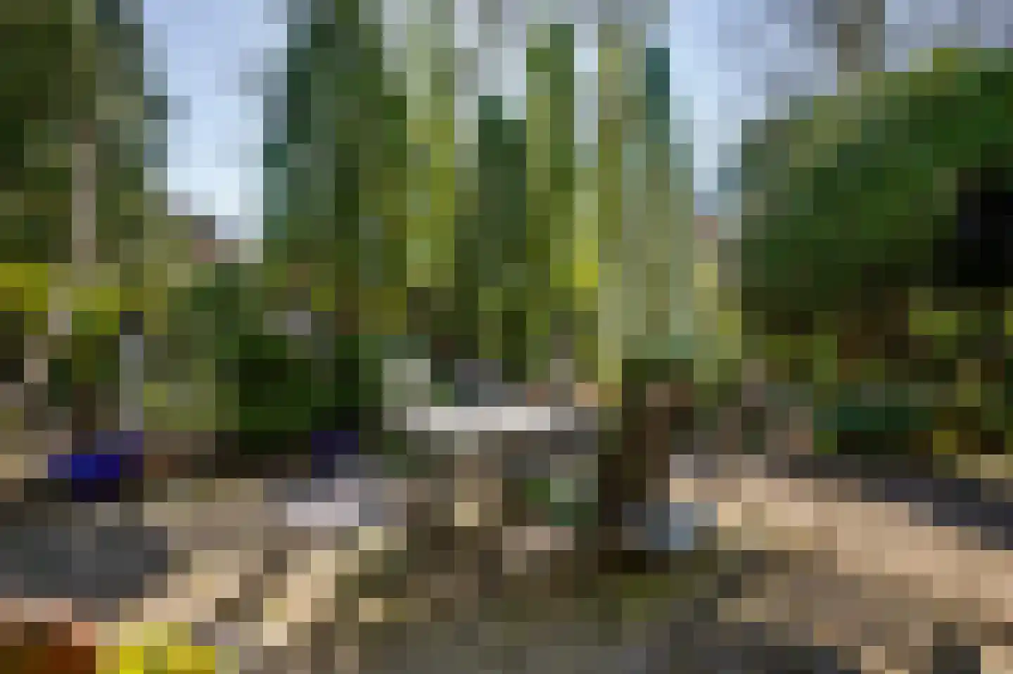 Burgemeester van Liebergenstraat 16 Venlo thumbnail 56