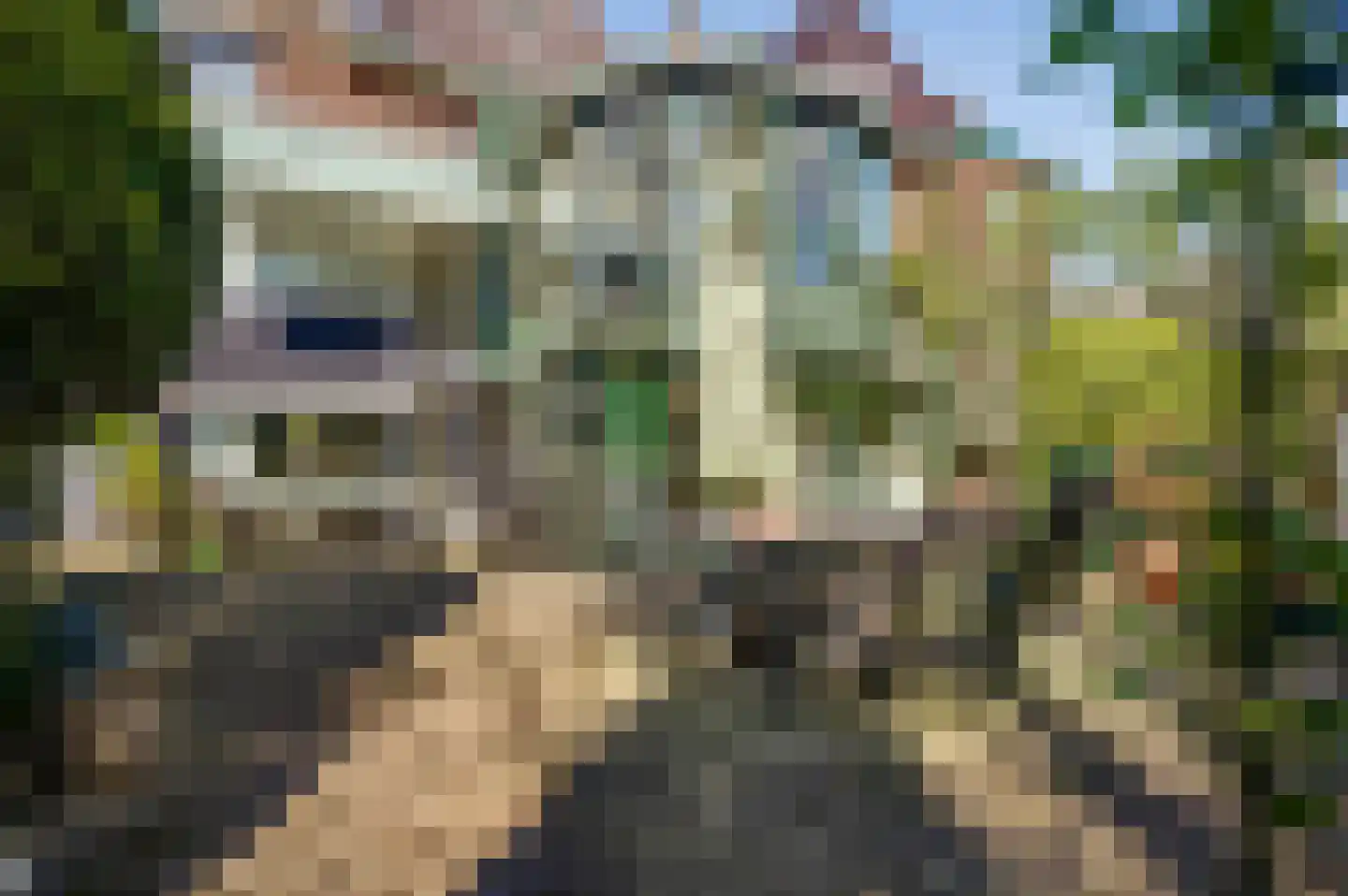 Burgemeester van Liebergenstraat 16 Venlo thumbnail 57