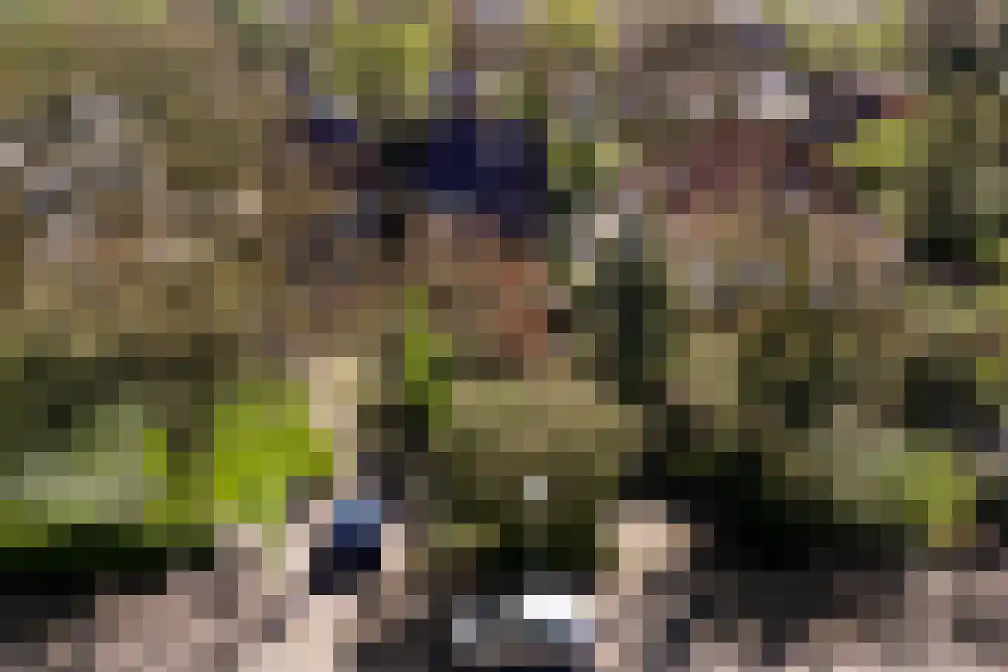 Burgemeester van Liebergenstraat 16 Venlo thumbnail 63