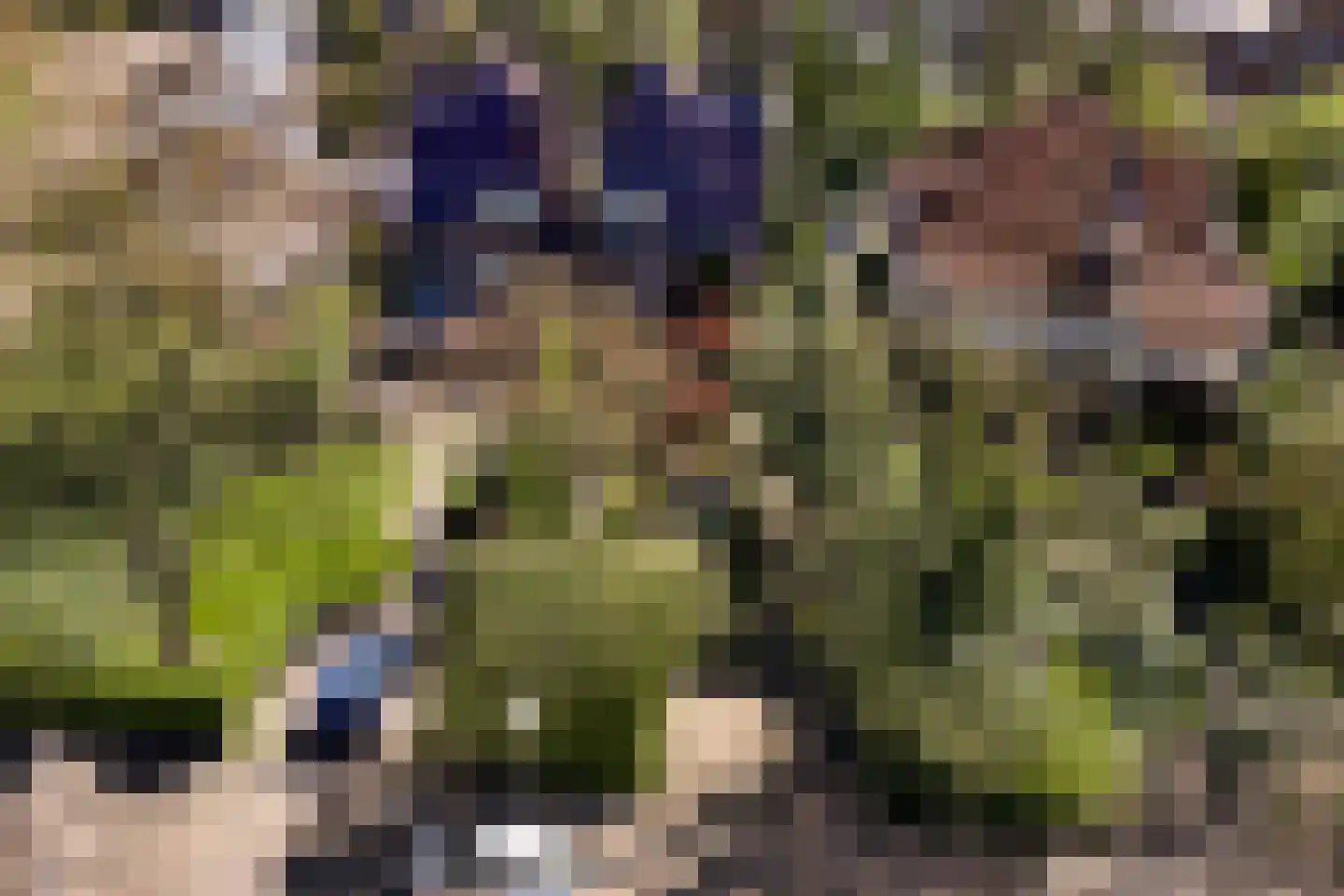 Burgemeester van Liebergenstraat 16 Venlo thumbnail 64