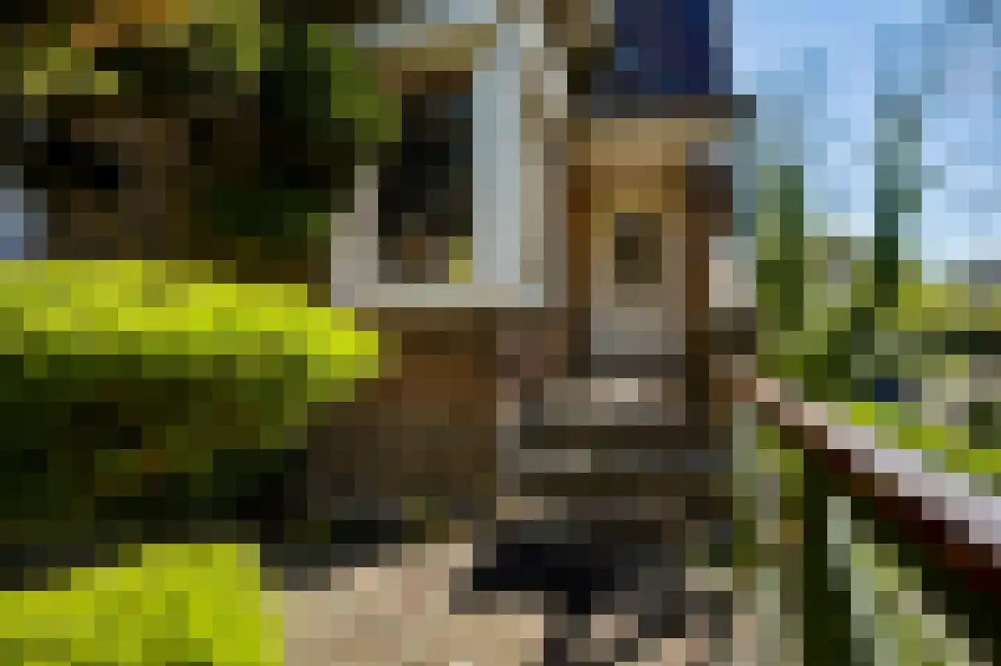 Burgemeester van Liebergenstraat 16 Venlo thumbnail 8
